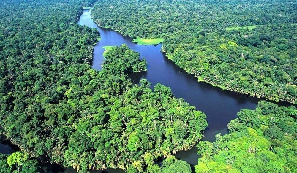 tortuguero-1