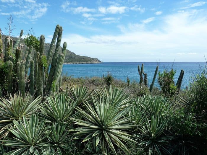 baracoa