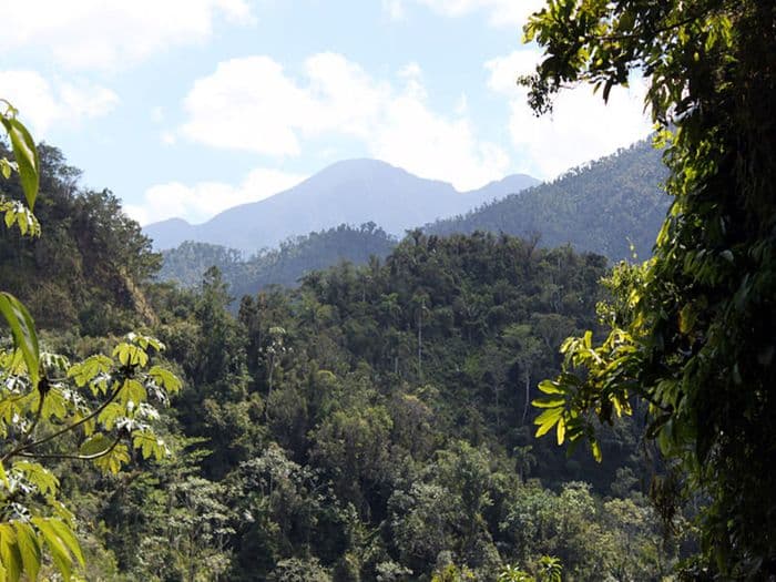Sierra Maestra Turquino_Nationalpark_Kuba_05_anagoria