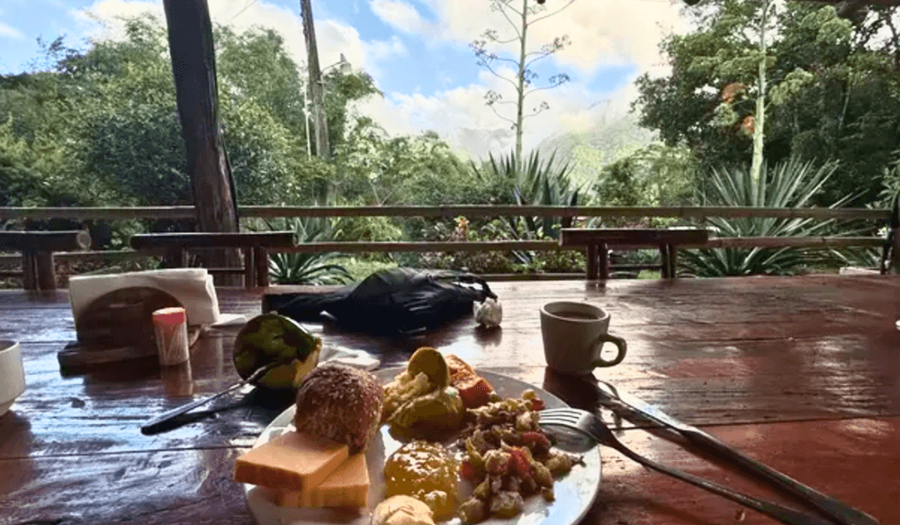 PUR 04.35 D.R. trip report (3)