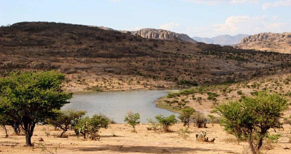 Quand partir au Mexique : paysages désertiques du centre du pays ©Comisión Mexicana de Filmaciones