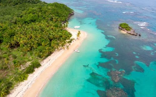 Dominican Republic  Aerial View of Green Trees Beside Body of Water