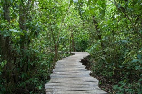 Danta Corcovado Lodge