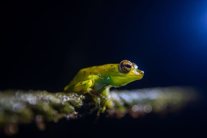 night hike