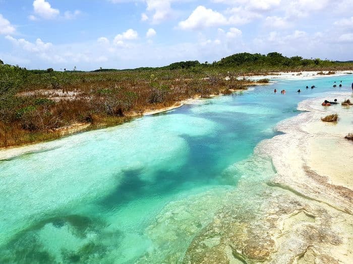 bacalar