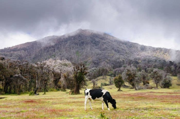 Turrialba