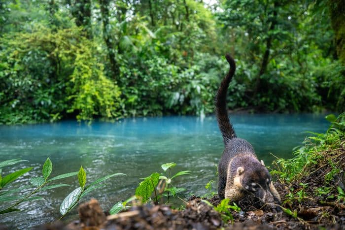 rio celeste