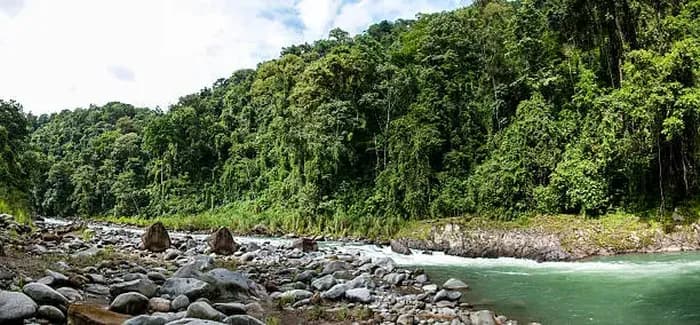 Pacuare