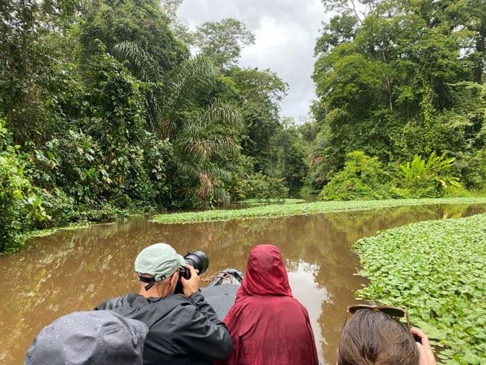 Tortuguero