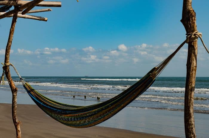 Pacific Hammock