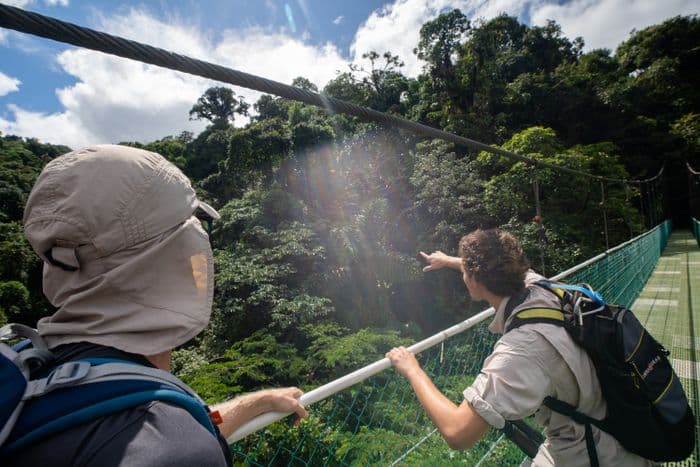 hanging bridges