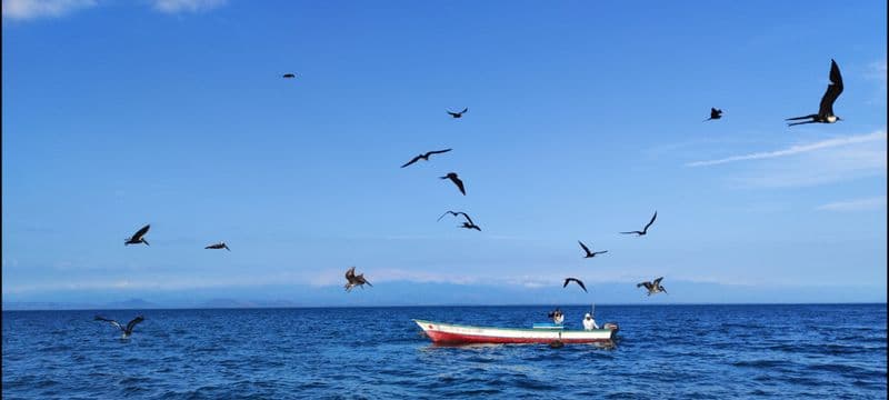 Le Golfe de Nicoya